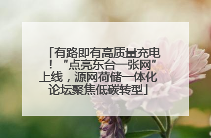 有路即有高质量充电！“点亮东台一张网”上线，源网荷储一体化论坛聚焦低碳转型