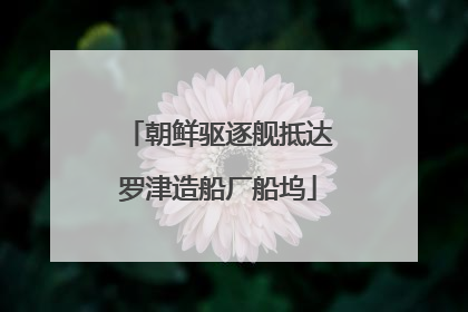 朝鲜驱逐舰抵达罗津造船厂船坞