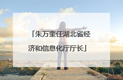 朱万奎任湖北省经济和信息化厅厅长