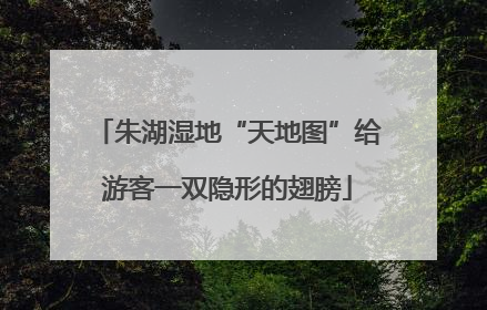 朱湖湿地“天地图”给游客一双隐形的翅膀