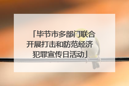 毕节市多部门联合开展打击和防范经济犯罪宣传日活动