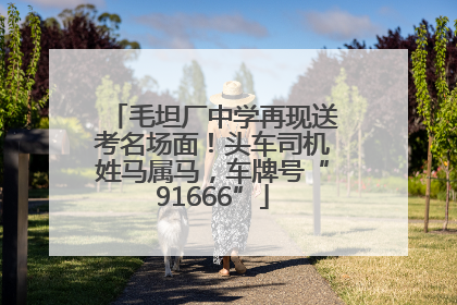 毛坦厂中学再现送考名场面！头车司机姓马属马，车牌号“91666”