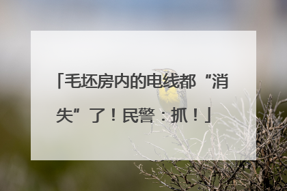 毛坯房内的电线都“消失”了！民警：抓！