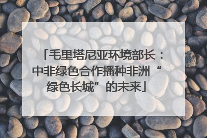 毛里塔尼亚环境部长：中非绿色合作播种非洲“绿色长城”的未来