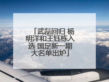 武磊回归 杨明洋和王钰栋入选 国足新一期大名单出炉