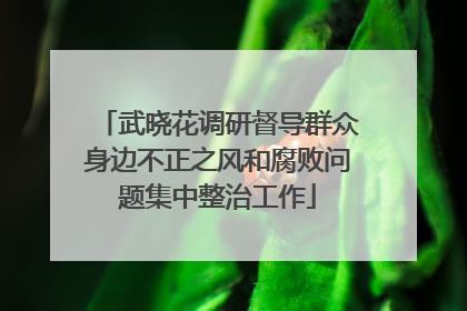武晓花调研督导群众身边不正之风和腐败问题集中整治工作