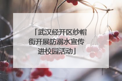 武汉经开区纱帽街开展防溺水宣传进校园活动