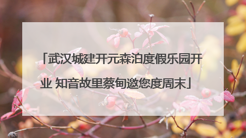 武汉城建开元森泊度假乐园开业 知音故里蔡甸邀您度周末