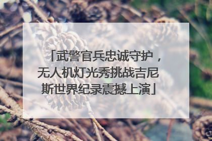 武警官兵忠诚守护，无人机灯光秀挑战吉尼斯世界纪录震撼上演