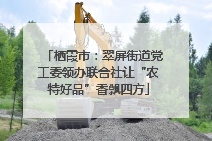 栖霞市：翠屏街道党工委领办联合社让“农特好品”香飘四方