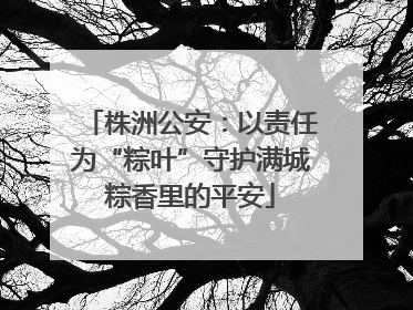 株洲公安：以责任为“粽叶”守护满城粽香里的平安