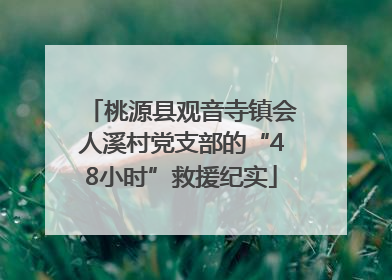 桃源县观音寺镇会人溪村党支部的“48小时”救援纪实