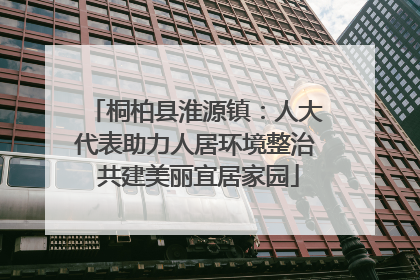 桐柏县淮源镇：人大代表助力人居环境整治 共建美丽宜居家园