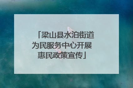 梁山县水泊街道为民服务中心开展惠民政策宣传