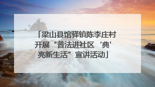 梁山县馆驿镇陈李庄村开展“普法进社区‘典’亮新生活”宣讲活动