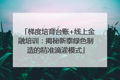 梯度培育台账+线上金融培训：揭秘新泰绿色制造的精准滴灌模式