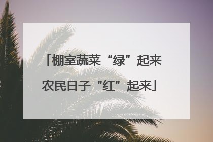 棚室蔬菜“绿”起来 农民日子“红”起来