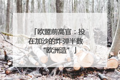 欧盟前高官：投在加沙的炸弹半数“欧洲造”