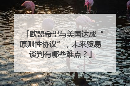 欧盟希望与美国达成“原则性协议”，未来贸易谈判有哪些难点？