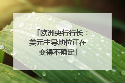 欧洲央行行长：美元主导地位正在变得不确定