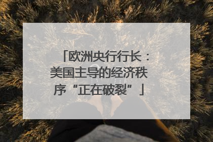 欧洲央行行长：美国主导的经济秩序“正在破裂”
