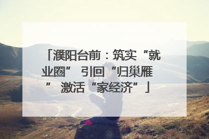濮阳台前：筑实“就业圈” 引回“归巢雁” 激活“家经济”