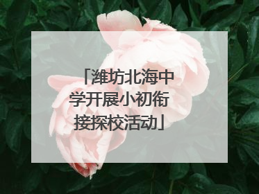 潍坊北海中学开展小初衔接探校活动