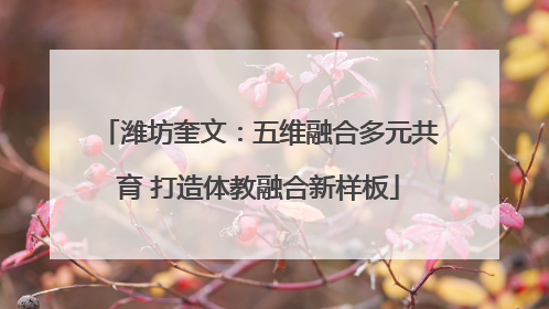 潍坊奎文：五维融合多元共育 打造体教融合新样板