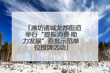 潍坊诸城龙都街道举行“提振消费·助力发展”首批示范单位授牌活动