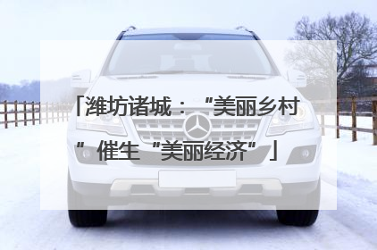 潍坊诸城：“美丽乡村”催生“美丽经济”