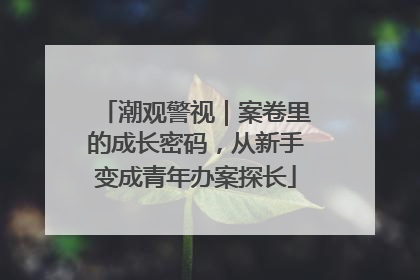 潮观警视｜案卷里的成长密码，从新手变成青年办案探长