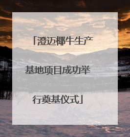 澄迈椰牛生产基地项目成功举行奠基仪式