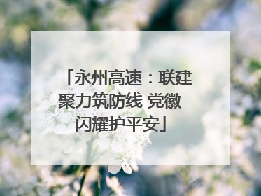 永州高速：联建聚力筑防线 党徽闪耀护平安