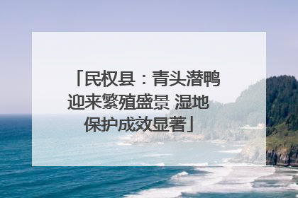 民权县：青头潜鸭迎来繁殖盛景 湿地保护成效显著