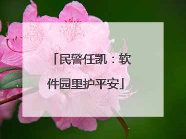 民警任凯：软件园里护平安