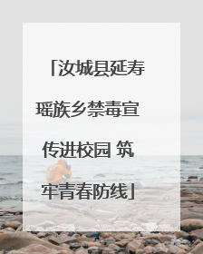 汝城县延寿瑶族乡禁毒宣传进校园 筑牢青春防线