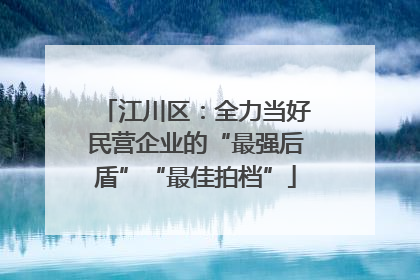 江川区：全力当好民营企业的“最强后盾”“最佳拍档”