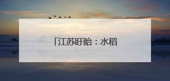 江苏盱眙：水稻插秧全面展开