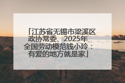 江苏省无锡市梁溪区政协常委、2025年全国劳动模范钱小玲：有爱的地方就是家