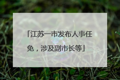 江苏一市发布人事任免，涉及副市长等