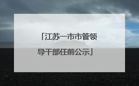 江苏一市市管领导干部任前公示