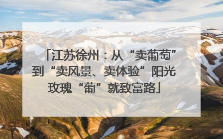 江苏徐州：从“卖葡萄”到“卖风景、卖体验”阳光玫瑰“葡”就致富路