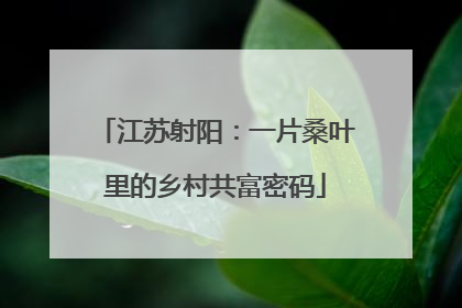 江苏射阳：一片桑叶里的乡村共富密码