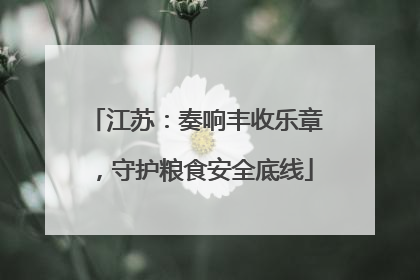 江苏：奏响丰收乐章，守护粮食安全底线