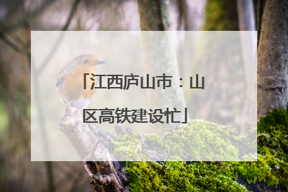 江西庐山市：山区高铁建设忙