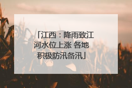 江西：降雨致江河水位上涨 各地积极防汛备汛