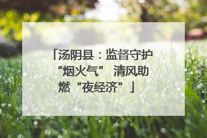 汤阴县：监督守护“烟火气” 清风助燃“夜经济”