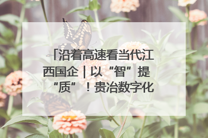 沿着高速看当代江西国企｜以“智”提“质”！贵冶数字化转型迈出新步伐