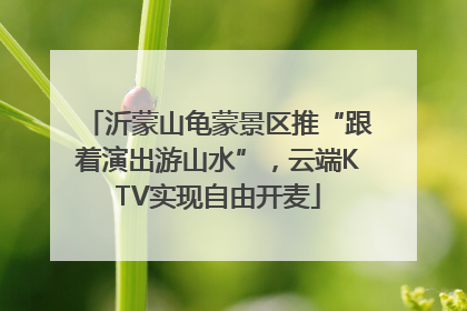 沂蒙山龟蒙景区推“跟着演出游山水”，云端KTV实现自由开麦