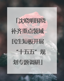 沈晓明围绕补齐重点领域民生短板开展“十五五”规划专题调研
